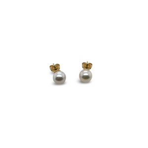 Johanna Brierley Jewellery Design.  14k yellow gold white akoya pearl earrings. Shop online.